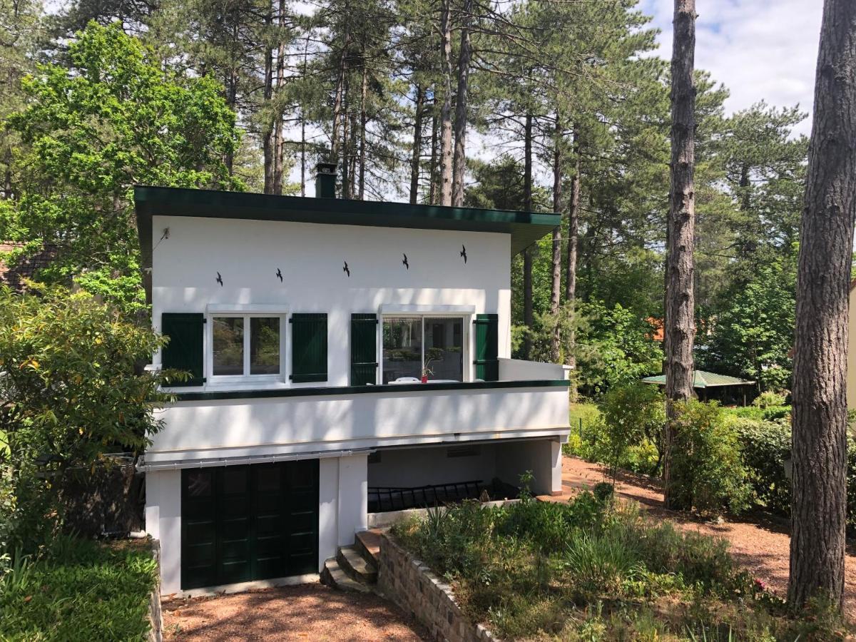 Maison Sapinettes Quend Exteriör bild